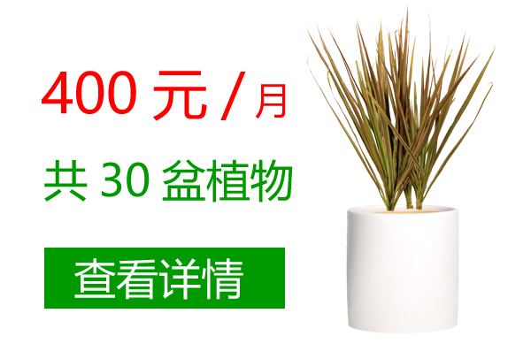 400元15盆套餐